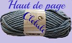 CREATION `HAUT DE PAGE` PELOTE BLEUE POUR SITE CLELULO